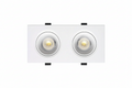 DOWNLIGHT 2x7w